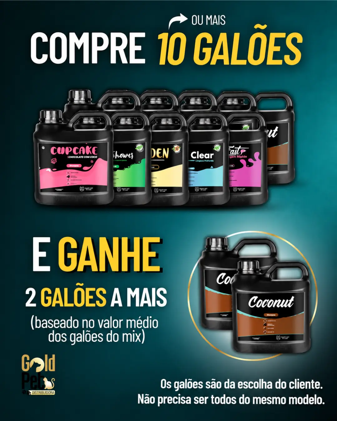 10 galões